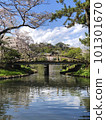 Sankeien Sakura and Bridge 101301670