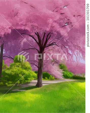 Blooming flowers or sakura, cherry tree view isolated on background 101301709