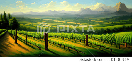 Vineyard Field on hills vector illustration. Artistic landscape with growing 101301969