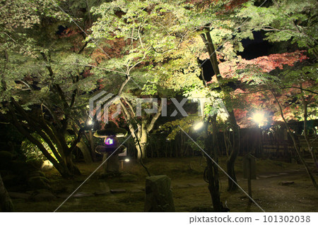辰野:燈火通明的紅葉谷兵庫縣辰野市辰野町 辰野:燈火通明的紅葉谷兵庫縣辰野市辰野町 101302038