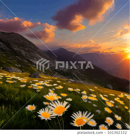 Flower field of daisies against the backdrop of mountains under a summer sunset Flower field of daisies against the backdrop of mountains under a summer sunset 101302152