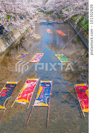 Gojo River in spring, lazy washing <Iwakura City, Aichi Prefecture> Gojo River in spring, lazy washing <Iwakura City, Aichi Prefecture> 101302626