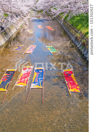 Gojo River in spring, lazy washing <Iwakura City, Aichi Prefecture> Gojo River in spring, lazy washing <Iwakura City, Aichi Prefecture> 101302627