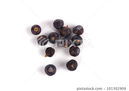 Dried black currant Dried black currant 101302909