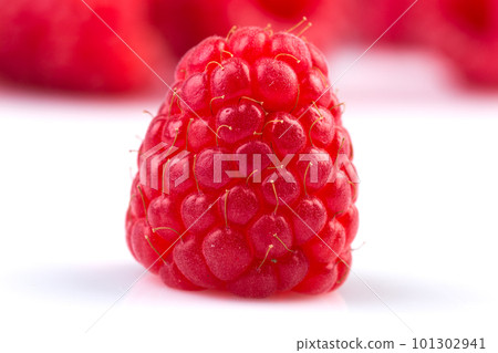 raspberry isolated on white background raspberry isolated on white background 101302941