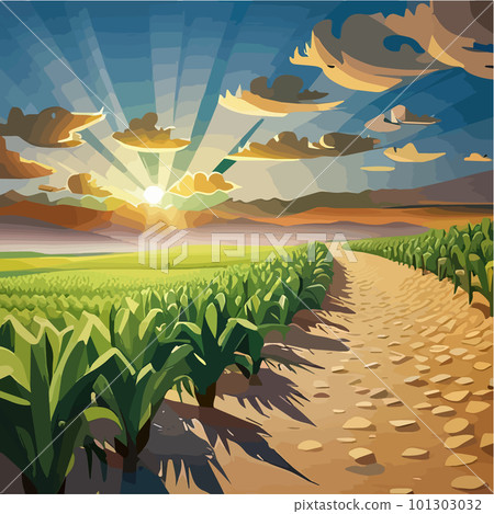 A cornfield with ripe cobs against a blue sky. Background image. Vector A cornfield with ripe cobs against a blue sky. Background image. Vector 101303032