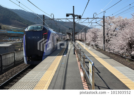 Katsunuma-Budokyo Station on the Chuo Main Line in spring, surrounded by Jinroku cherry blossoms in full bloom 101303552