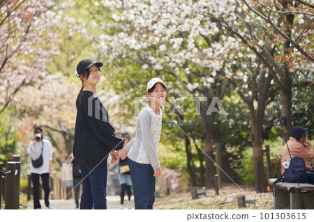 Children and sisters enjoying cherry blossom viewing in a park full of cherry blossoms in spring Children and sisters enjoying cherry blossom viewing in a park full of cherry blossoms in spring 101303615