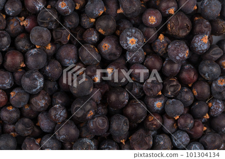 Dried black currant Dried black currant 101304134