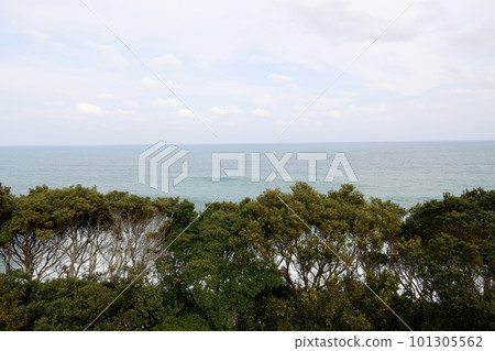 Shimoda, Shimanto City, Kochi Prefecture, seen from the Michisaki Observatory Shimoda, Shimanto City, Kochi Prefecture, seen from the Michisaki Observatory 101305562