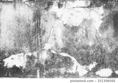 The cement wall background abstract gray concrete texture for interior design, white grunge cement or concrete painted wall texture, white cement stone concrete plastered stucco wall painted. 101306088