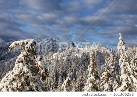 Canadian Mountain Landscape covered in Snow. Nature Background 101306288