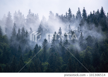Misty mountain landscape 101306514