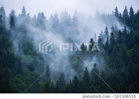 Misty mountain landscape 101306518