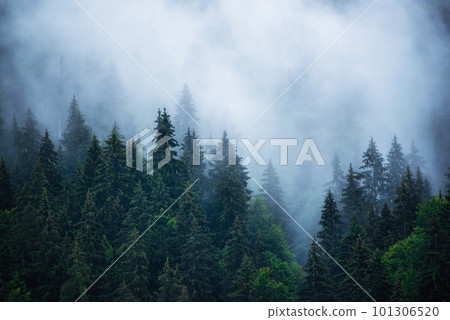 Misty mountain landscape Misty mountain landscape 101306520