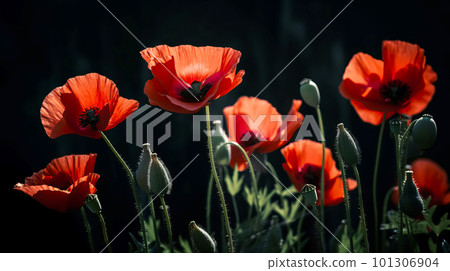 Red poppies as a symbol of memory for the fallen in the war. VE-Day, World War remembrance day. Generative AI illustration 101306904