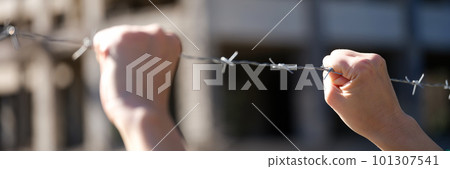 Female hands holding security barbedwire fence, wire with clusters of short, sharp spikes 101307541