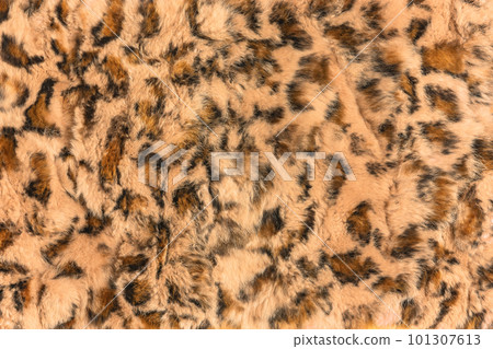[Material] Close-up shot of leopard fur background texture. 101307613