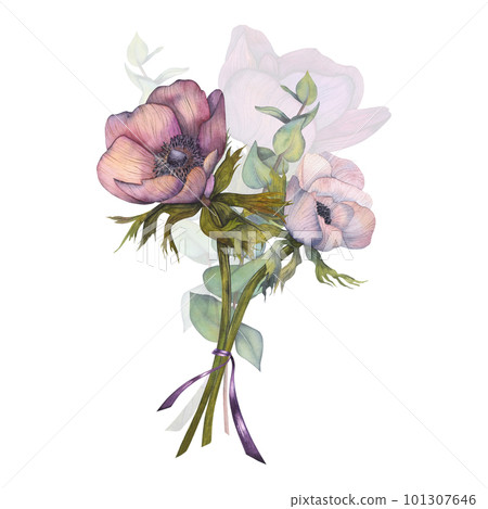 Bouquet of pastel pink anemones watercolor illustration. Hand painted card on white background. Bouquet of pastel pink anemones watercolor illustration. Hand painted card on white background. 101307646