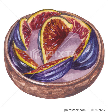 Watercolor illustration cake with figs. Hand painted illustration isolated on white background. Watercolor illustration cake with figs. Hand painted illustration isolated on white background. 101307657