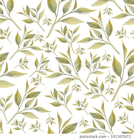 Seamless patern with tea leaves watercolor illustration. Hand drawn isolated on white background. Seamless patern with tea leaves watercolor illustration. Hand drawn isolated on white background. 101307672