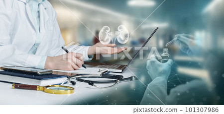 Working on the diagnosis of urolithic kidney disease. 101307986