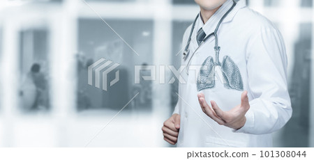 Doctor shows a sketch of the lungs. Doctor shows a sketch of the lungs. 101308044