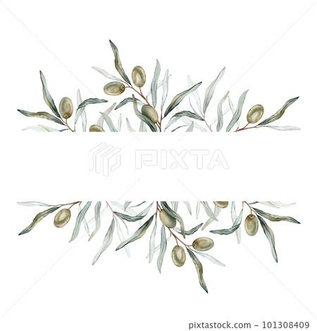 Watercolor banner with green olive leaves branches.Watercolor olive in bouquet. Decorative element for greeting card. Illustration 101308409
