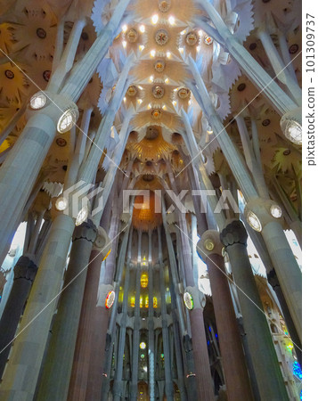 Inside Sagrada Familia ~Ceiling/Pillars~ (Spain-Barcelona) 101309737