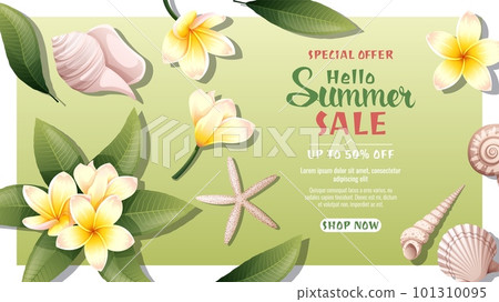 Vector background with yellow plumeria flowers and seashells. Tropical vibe, summer time, holidays. Summer sale template, discount banner 101310095
