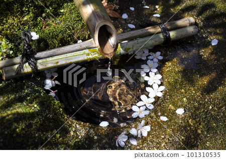 Honmanji Temple Water Basin Honmanji Temple Water Basin 101310535