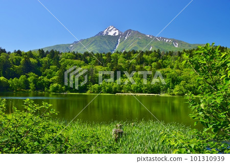 Himenuma and Mt. Rishirifuji surrounded by fresh greenery Himenuma and Mt. Rishirifuji surrounded by fresh greenery 101310939