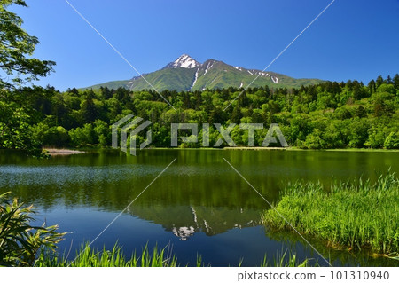 Himenuma and Mt. Rishirifuji surrounded by fresh greenery 101310940