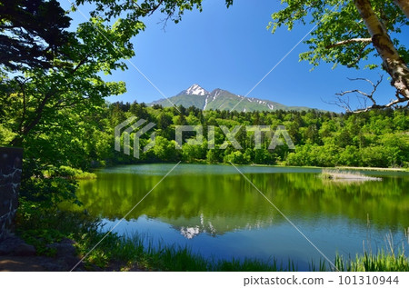Himenuma and Mt. Rishirifuji surrounded by fresh greenery 101310944