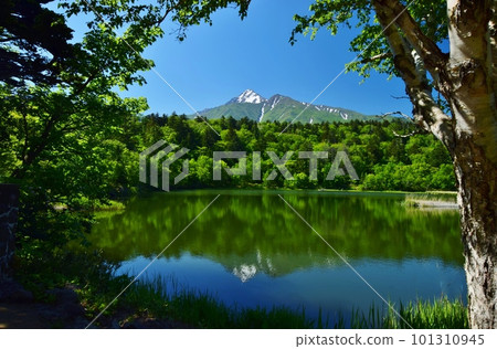 Himenuma and Mt. Rishirifuji surrounded by fresh greenery 101310945