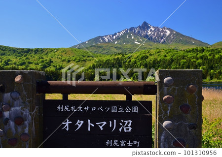 新綠環繞的奧塔托馬里濕地和殘雪的利尻山 新綠環繞的奧塔托馬里濕地和殘雪的利尻山 101310956