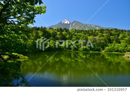 Himenuma and Mt. Rishirifuji surrounded by fresh greenery Himenuma and Mt. Rishirifuji surrounded by fresh greenery 101310957