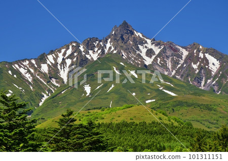 Fresh green and summer scenery of Rishiri Island 101311151