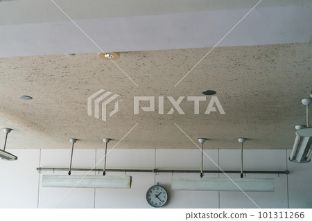 classroom, school, illuminating 101311266