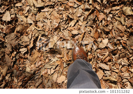 Feet stepping on a carpet of fallen leaves 101311282