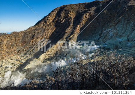 White fumaroles erupting from the rock face of Owakudani and Mt. 101311394