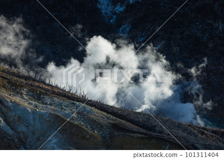 White fumes spouting from the rock face of Mt. Kamurigatake in Owakudani, Hakone-machi, Ashigarashimo-gun, Kanagawa Prefecture, Japan 101311404