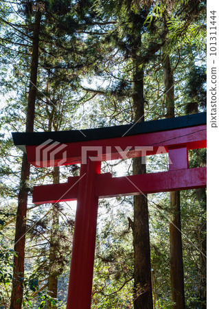 The third torii of Hakone Shrine on the shores of Lake Ashi in Hakone-machi, Ashigarashimo-gun, Kanagawa Prefecture, Japan 101311444