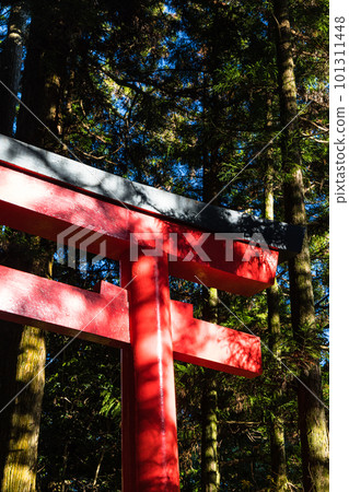 The third torii of Hakone Shrine on the shores of Lake Ashi in Hakone-machi, Ashigarashimo-gun, Kanagawa Prefecture, Japan 101311448