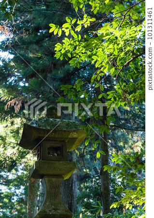 Precincts of Hakone Shrine on the shores of Lake Ashi in Hakone-machi, Ashigarashimo-gun, Kanagawa Prefecture, Japan 101311461