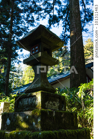 Precincts of Hakone Shrine on the shores of Lake Ashi in Hakone-machi, Ashigarashimo-gun, Kanagawa Prefecture, Japan 101311463