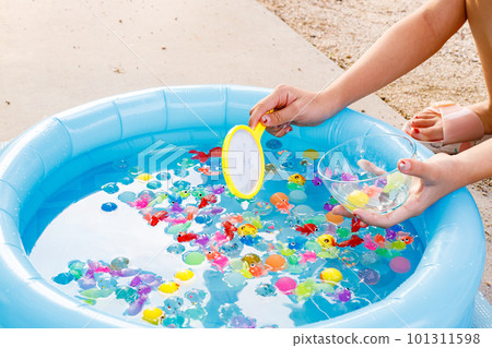 Summer image｜Goldfish scooping 101311598
