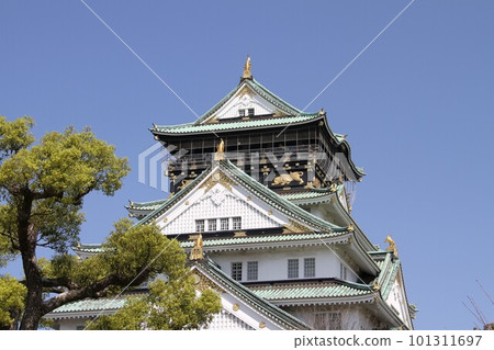 大阪城公園的春天景色 101311697