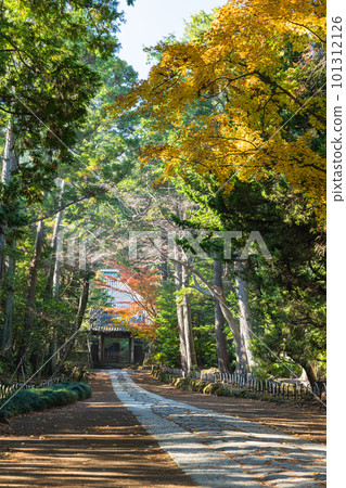 Japan The approach from the main gate to the middle gate of Jufuku-ji Temple in Kamakura City, Kanagawa Prefecture and autumn leaves 101312126