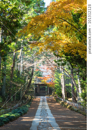 Japan The approach from the main gate to the middle gate of Jufuku-ji Temple in Kamakura City, Kanagawa Prefecture and autumn leaves Japan The approach from the main gate to the middle gate of Jufuku-ji Temple in Kamakura City, Kanagawa Prefecture and autumn leaves 101312128